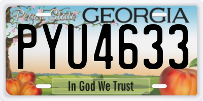 GA license plate PYU4633