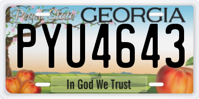 GA license plate PYU4643