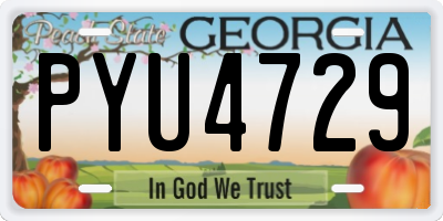 GA license plate PYU4729