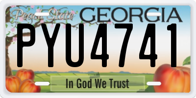 GA license plate PYU4741