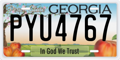 GA license plate PYU4767