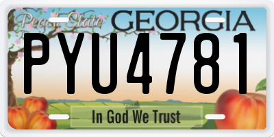 GA license plate PYU4781