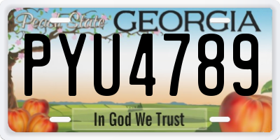 GA license plate PYU4789