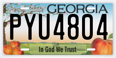 GA license plate PYU4804