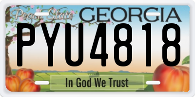 GA license plate PYU4818