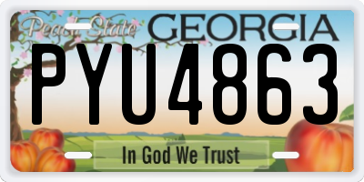 GA license plate PYU4863