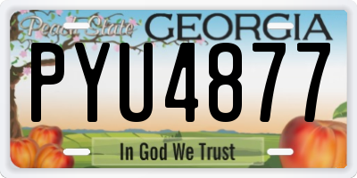 GA license plate PYU4877