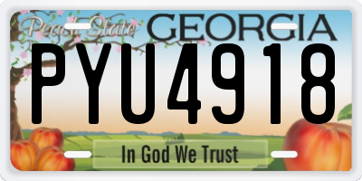 GA license plate PYU4918