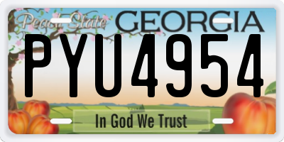 GA license plate PYU4954
