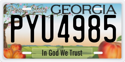 GA license plate PYU4985