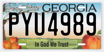 GA license plate PYU4989