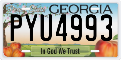 GA license plate PYU4993