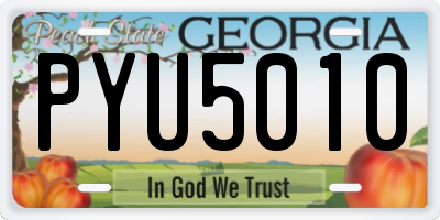 GA license plate PYU5010