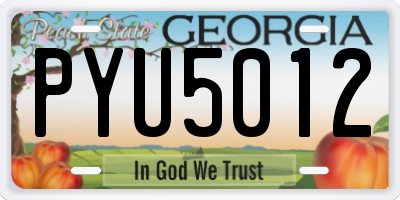 GA license plate PYU5012
