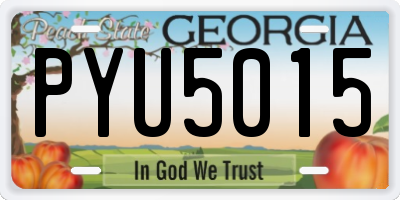 GA license plate PYU5015