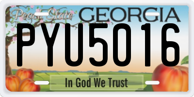 GA license plate PYU5016