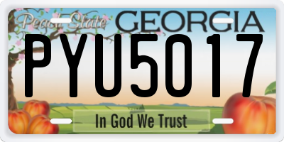 GA license plate PYU5017