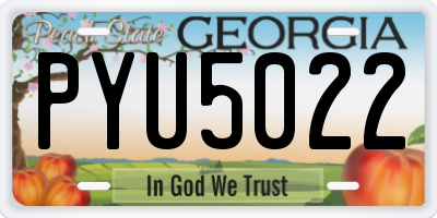 GA license plate PYU5022