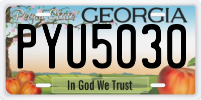 GA license plate PYU5030
