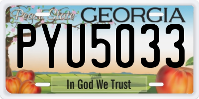 GA license plate PYU5033