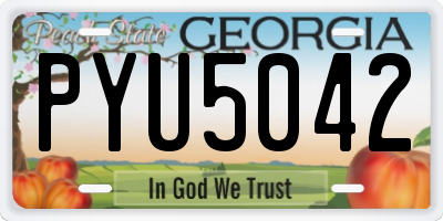 GA license plate PYU5042