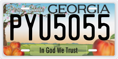 GA license plate PYU5055