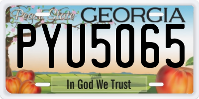 GA license plate PYU5065