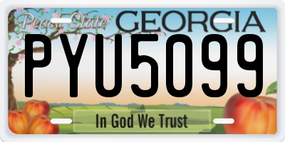GA license plate PYU5099