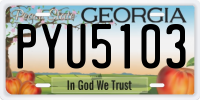 GA license plate PYU5103