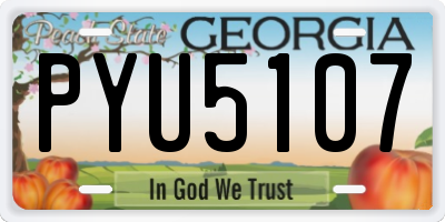 GA license plate PYU5107