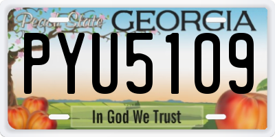 GA license plate PYU5109