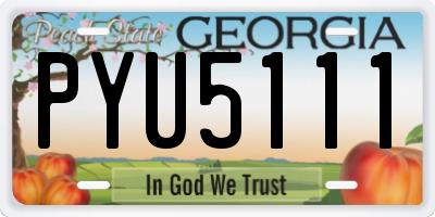 GA license plate PYU5111