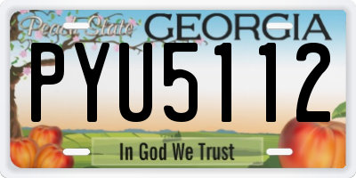GA license plate PYU5112