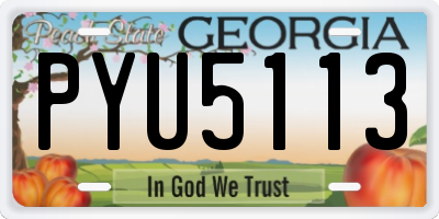 GA license plate PYU5113