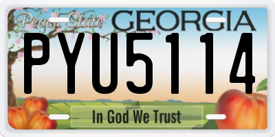 GA license plate PYU5114