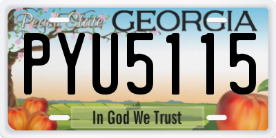 GA license plate PYU5115