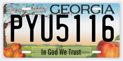 GA license plate PYU5116