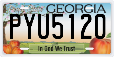 GA license plate PYU5120
