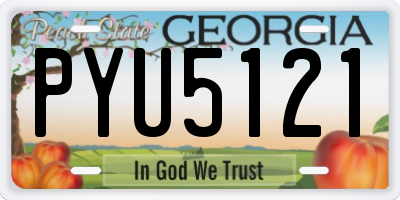 GA license plate PYU5121