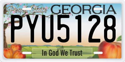 GA license plate PYU5128