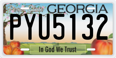GA license plate PYU5132