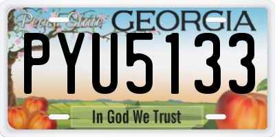GA license plate PYU5133