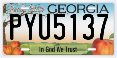 GA license plate PYU5137