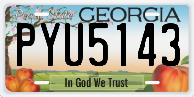 GA license plate PYU5143
