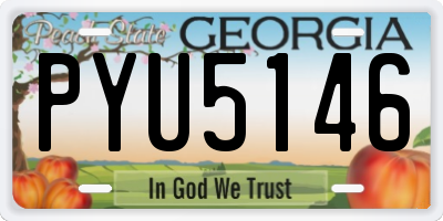 GA license plate PYU5146