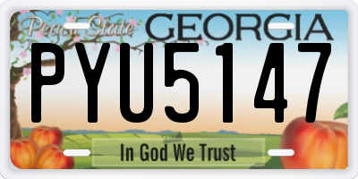 GA license plate PYU5147