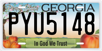GA license plate PYU5148
