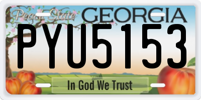 GA license plate PYU5153