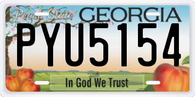 GA license plate PYU5154