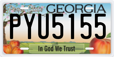 GA license plate PYU5155